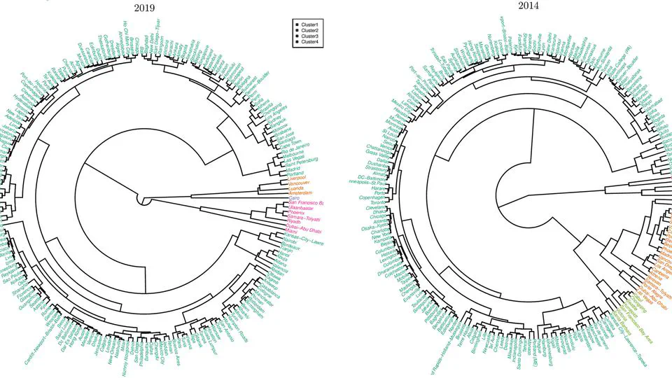 Typology, network features and damage response in worldwide urban road systems